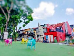 Little India Conservation Area (D8), Shop House #633706921